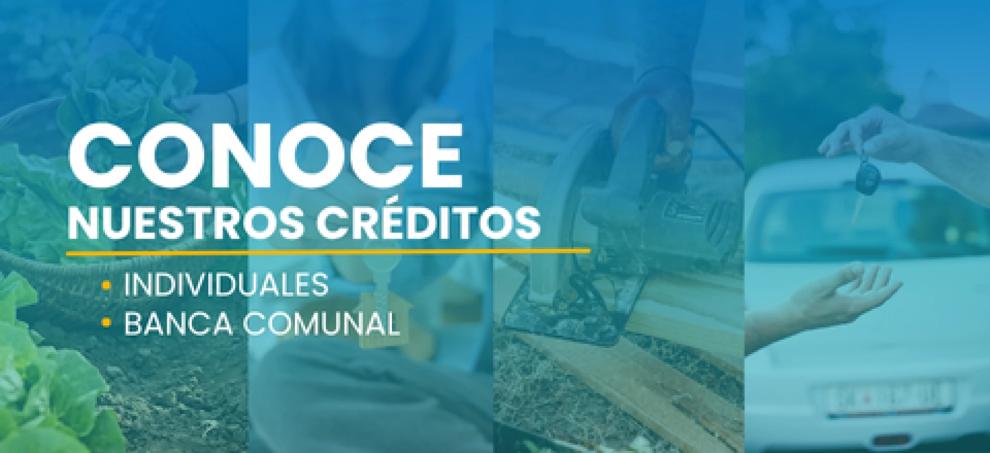 CREDITO INDIVIDUAL BANCA COMUNAL
