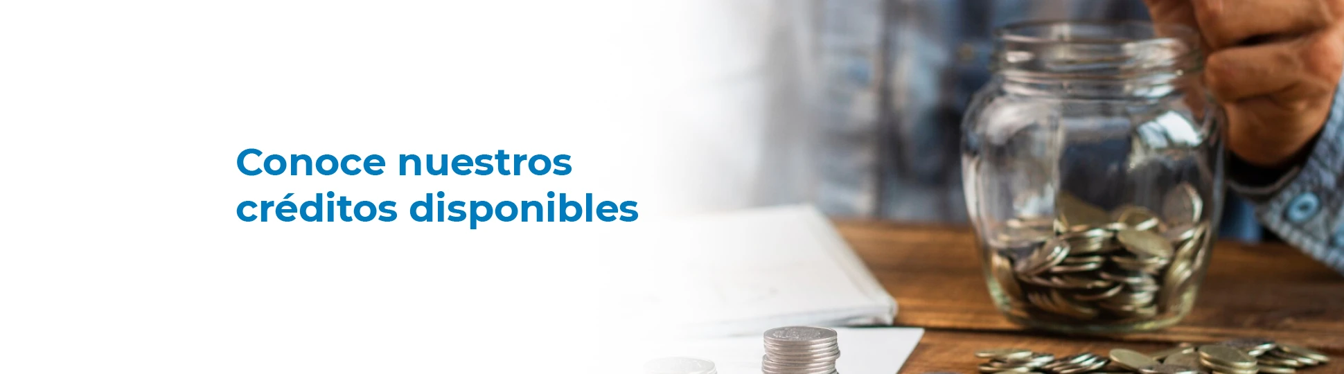 Conoce nuestros créditos disponibles