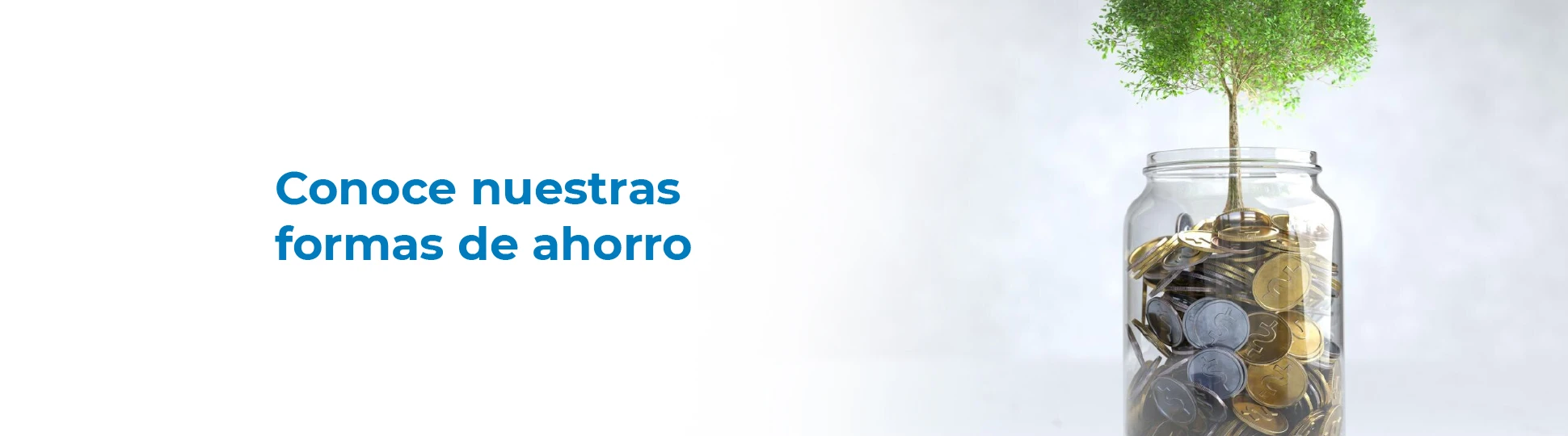 Conoce nuestras formas de ahorro
