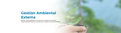Gestión Ambiental Externa
