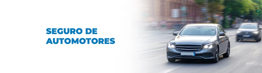 Seguro de Automotores