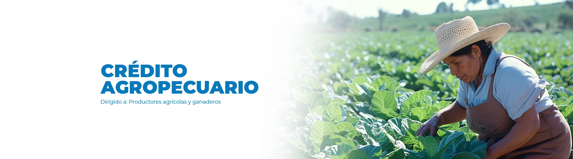 Crédito Agropecuario
