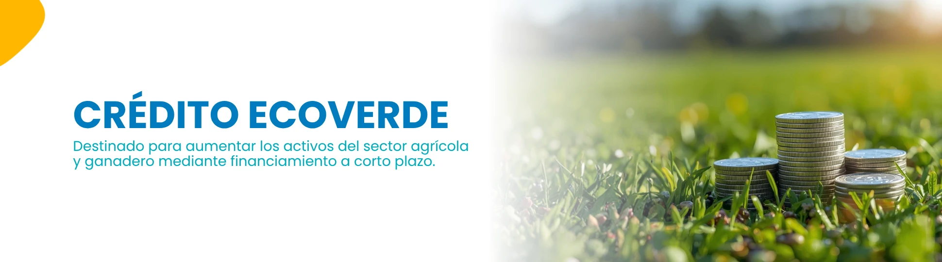 Crédito EcoVerde